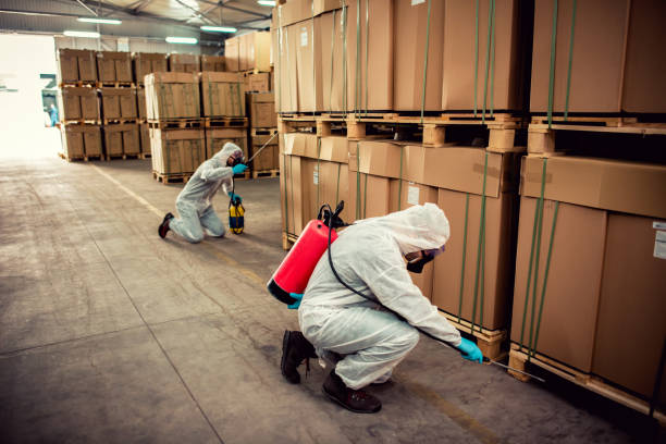 Pest Control for Restaurants in Borger, TX