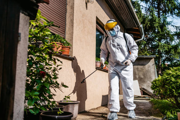 Best Wildlife Control Services  in Borger, TX