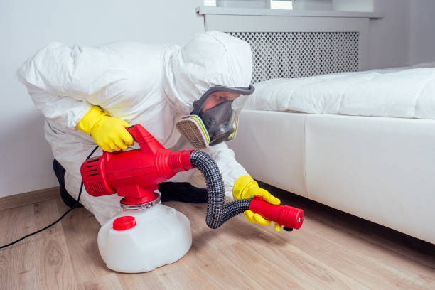 Insect Control in Borger, TX
