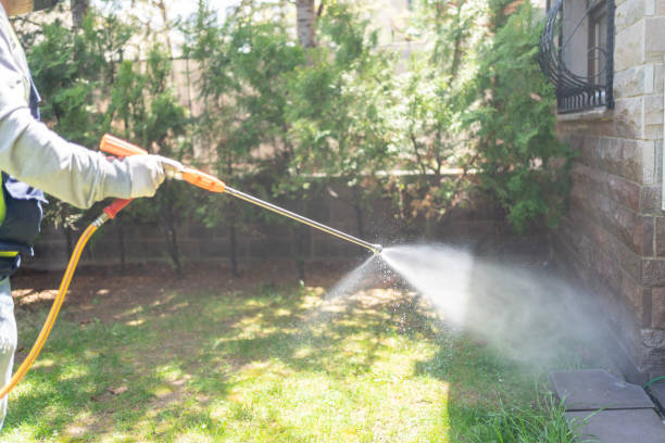Best Best Pest Control Companies  in Borger, TX