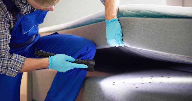 Best Affordable Pest Control Services  in Borger, TX