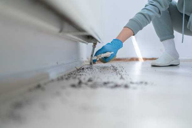 Best Pest Control Near Me  in Borger, TX